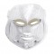 LED Photon Therapy Mask 