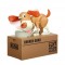 Dog Style Coin Collecting Money Saving Bank