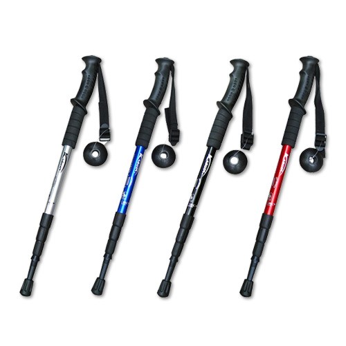 walking stick