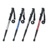 walking stick