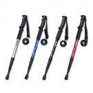 walking stick