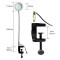 Tabletop Magnifying Glass with Adjustable Gooseneck Arm and LED Light